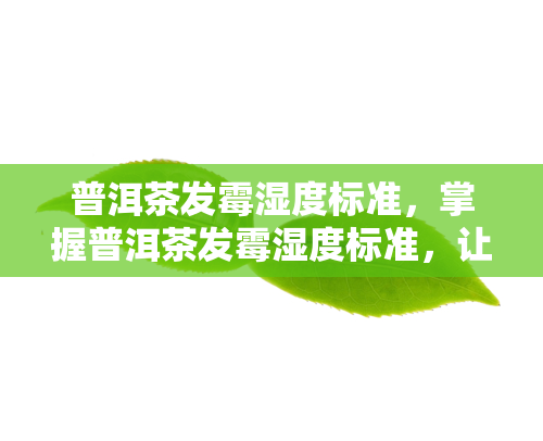 普洱茶发霉湿度标准，掌握普洱茶发霉湿度标准，让你的茶叶保存更长久！