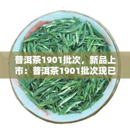 普洱茶1901批次，新品上市：普洱茶1901批次现已到货！