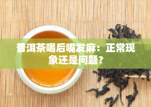 普洱茶喝后嘴发麻：正常现象还是问题？