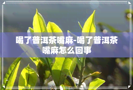 喝了普洱茶嘴麻-喝了普洱茶嘴麻怎么回事