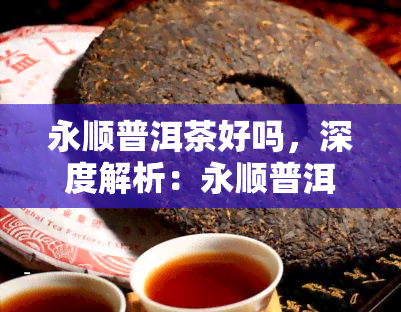 永顺普洱茶好吗，深度解析：永顺普洱茶的品质与口感如何？