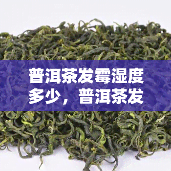 普洱茶发霉湿度多少，普洱茶发霉：湿度对茶叶保存的影响有多大？