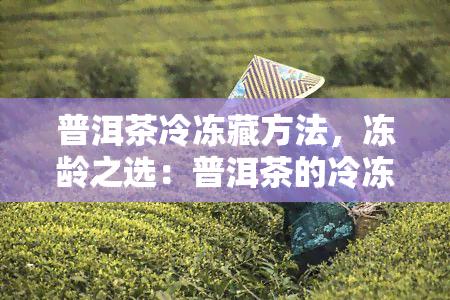 普洱茶冷冻藏方法，冻龄之选：普洱茶的冷冻藏方法详解