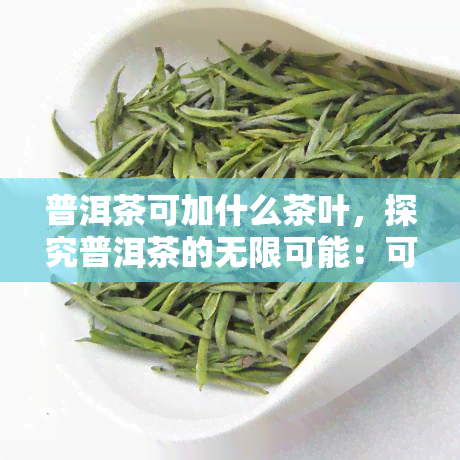 普洱茶可加什么茶叶，探究普洱茶的无限可能：可以添加哪些其他茶叶？