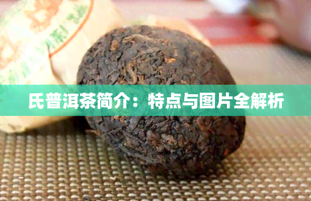 氏普洱茶简介：特点与图片全解析