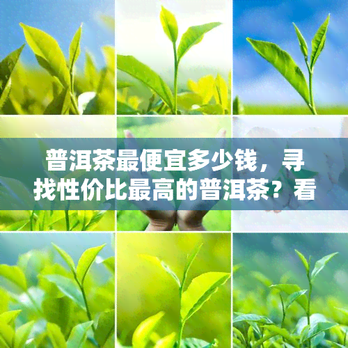 普洱茶更便宜多少钱，寻找性价比更高的普洱茶？看看这篇！