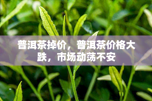 普洱茶掉价，普洱茶价格大跌，市场动荡不安