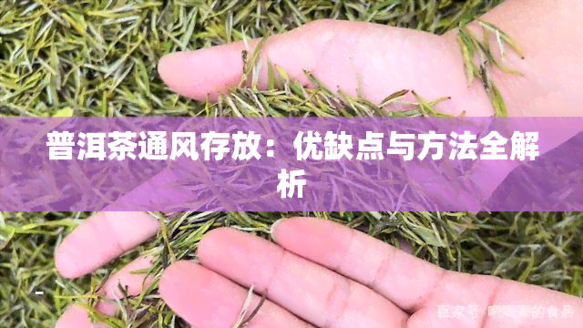 普洱茶通风存放：优缺点与方法全解析