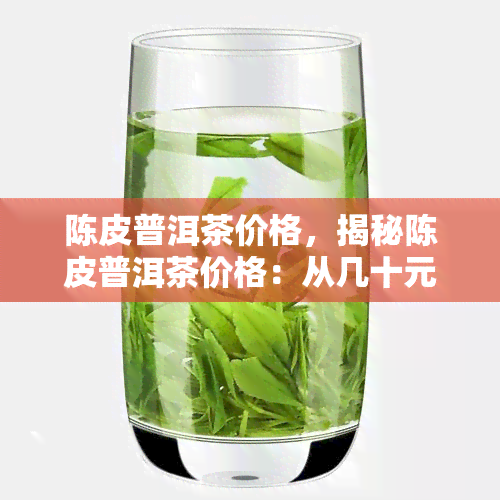 陈皮普洱茶价格，揭秘陈皮普洱茶价格：从几十元到上千元，你了解多少？