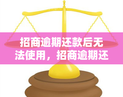 招商逾期还款后无法使用，招商逾期还款：账户受限，无法正常使用服务