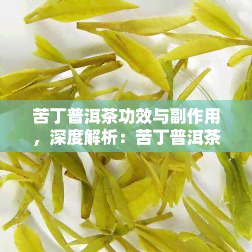 苦丁普洱茶功效与副作用，深度解析：苦丁普洱茶的功效与潜在副作用