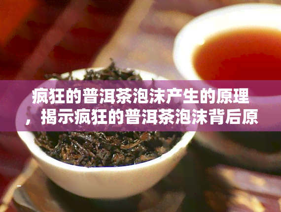 疯狂的普洱茶泡沫产生的原理，揭示疯狂的普洱茶泡沫背后原理：一场味觉与视觉的宴