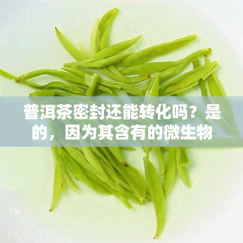 普洱茶密封还能转化吗？是的，因为其含有的微生物在适当环境下可以继续发酵。但是需要注意存环境，避免潮湿和高。至于是否有，只要存放得当，是不会产生有害物质的。