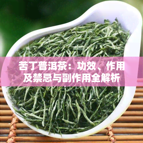 苦丁普洱茶：功效、作用及禁忌与副作用全解析