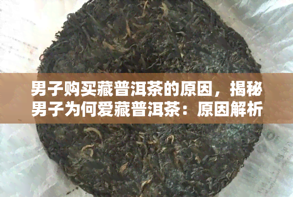 男子购买藏普洱茶的原因，揭秘男子为何爱藏普洱茶：原因解析