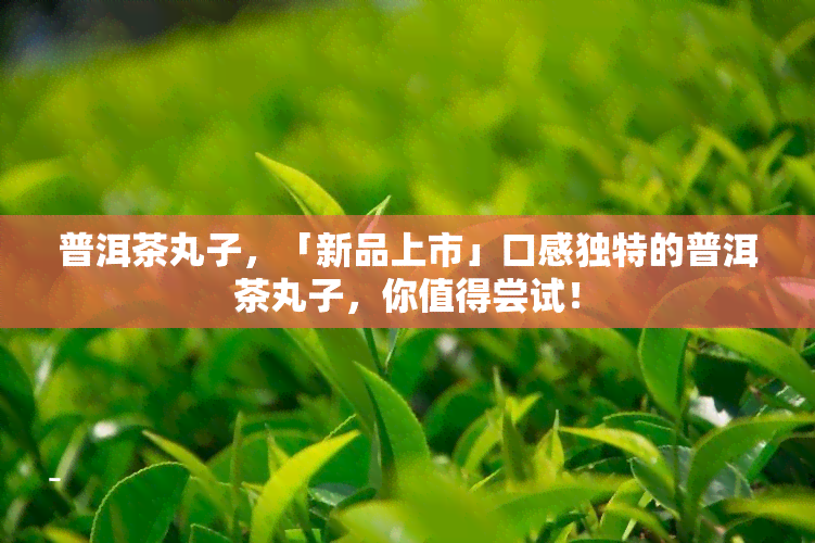 普洱茶丸子，「新品上市」口感独特的普洱茶丸子，你值得尝试！