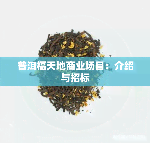 普洱福天地商业场目：介绍与招标