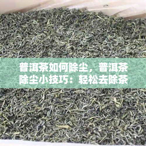 普洱茶如何除尘，普洱茶除尘小技巧：轻松去除茶叶上的杂质和尘埃