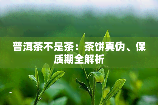 普洱茶不是茶：茶饼真伪、保质期全解析