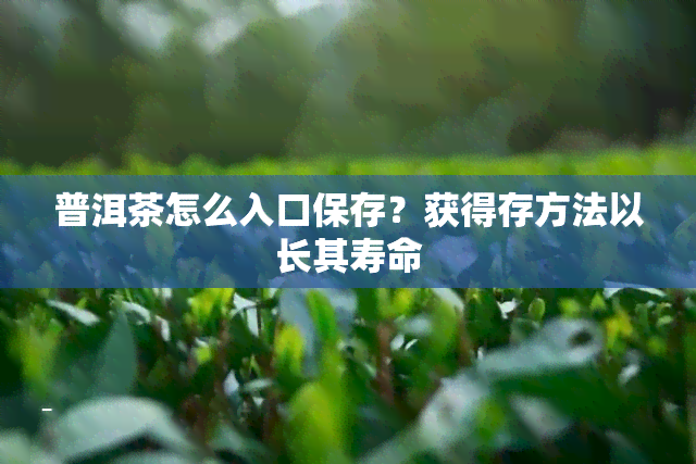 普洱茶怎么入口保存？获得存方法以长其寿命