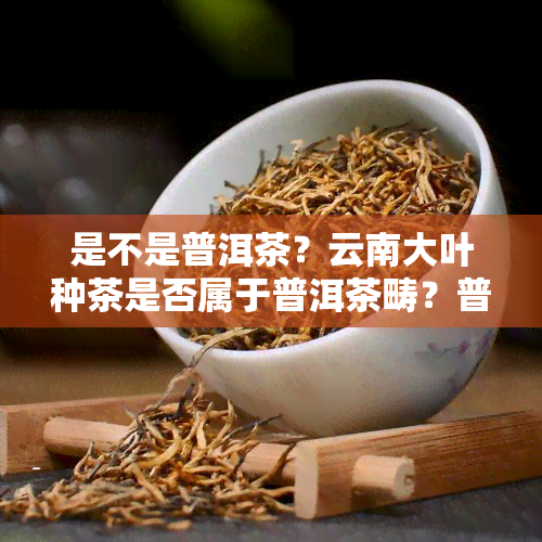 是不是普洱茶？云南大叶种茶是否属于普洱茶畴？普洱茶是否越陈越好？