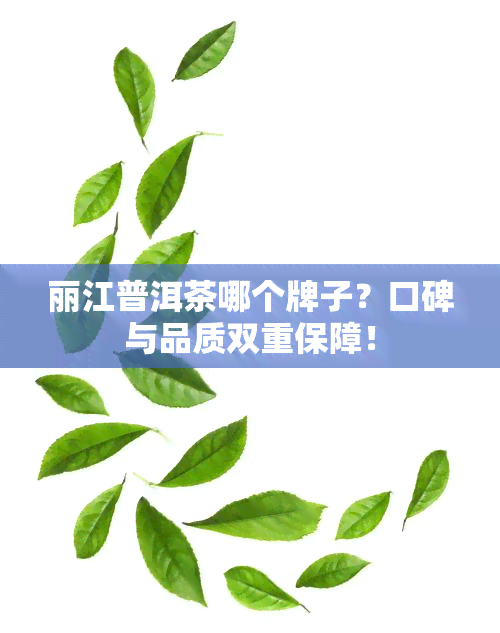 丽江普洱茶哪个牌子？口碑与品质双重保障！