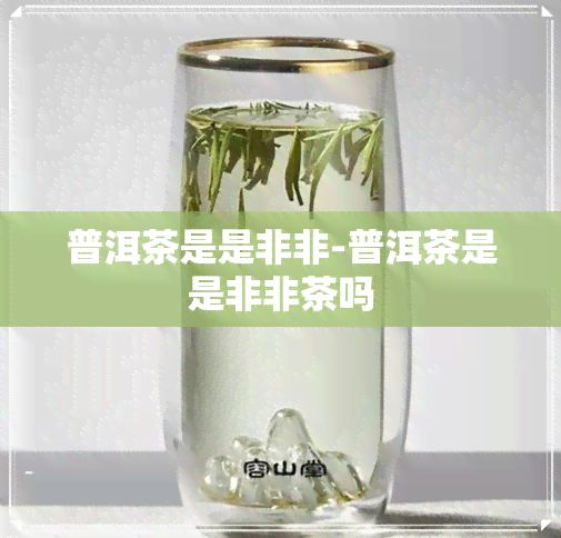 普洱茶是是非非-普洱茶是是非非茶吗