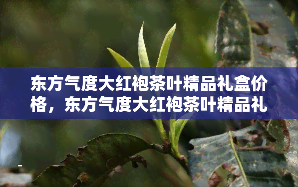 东方气度大红袍茶叶精品礼盒价格，东方气度大红袍茶叶精品礼盒：尊贵之选，品味不凡