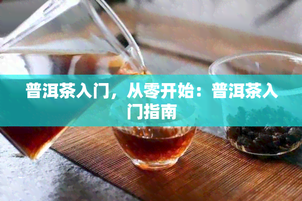 普洱茶入门，从零开始：普洱茶入门指南