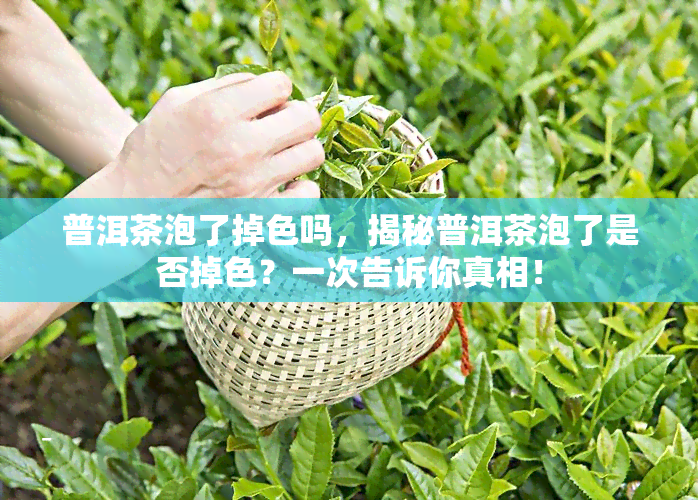 普洱茶泡了掉色吗，揭秘普洱茶泡了是否掉色？一次告诉你真相！