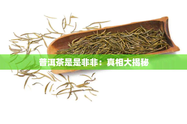 普洱茶是是非非：真相大揭秘