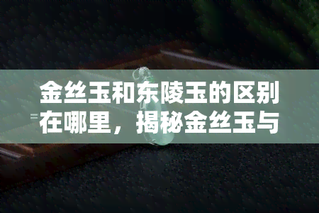 金丝玉和东陵玉的区别在哪里，揭秘金丝玉与东陵玉的差异：你了解它们的区别吗？