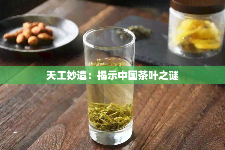 天工妙造：揭示中国茶叶之谜