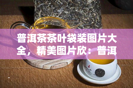 普洱茶茶叶袋装图片大全，精美图片欣：普洱茶茶叶袋装全貌大 *** 