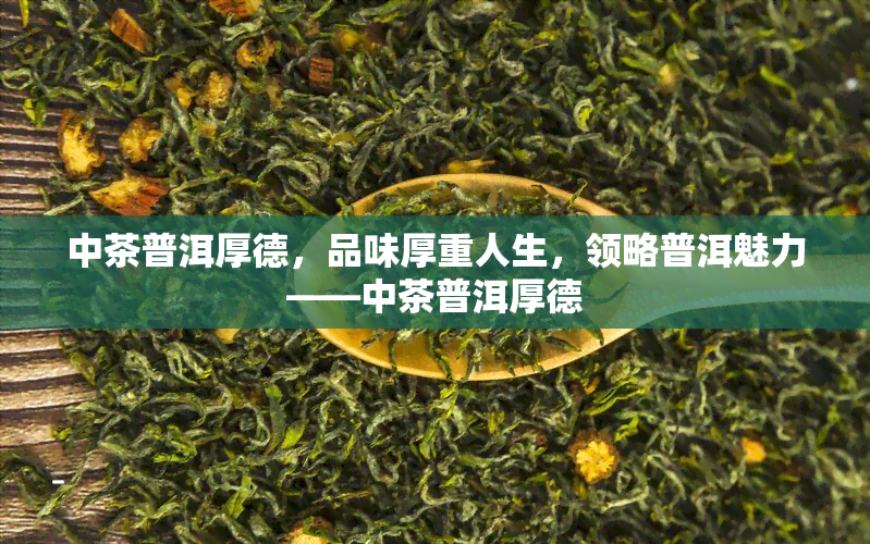 中茶普洱厚德，品味厚重人生，领略普洱魅力——中茶普洱厚德