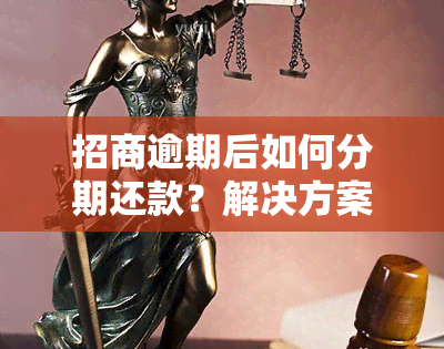 招商逾期后如何分期还款？解决方案详解