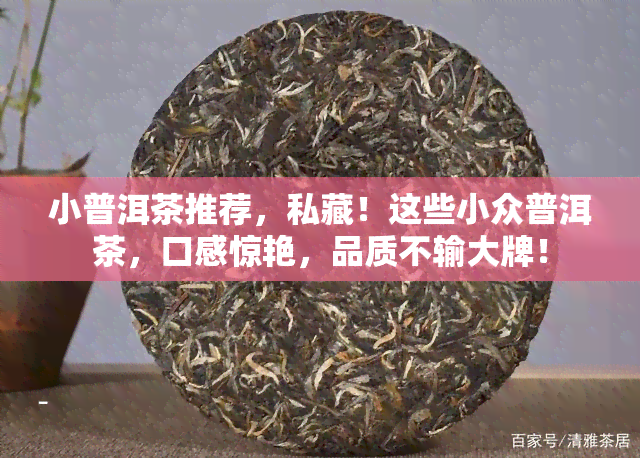 小普洱茶推荐，私藏！这些小众普洱茶，口感惊艳，品质不输大牌！