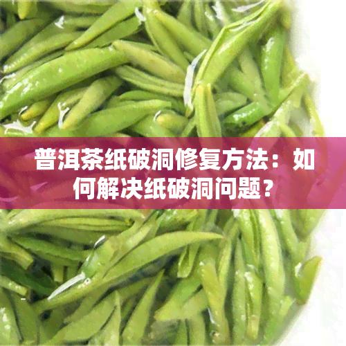 普洱茶纸破洞修复方法：如何解决纸破洞问题？