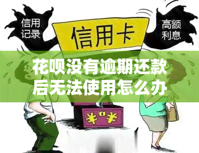 花呗没有逾期还款后无法使用怎么办，解决方法：花呗逾期还款后无法使用该如何处理？