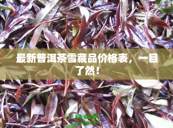 最新普洱茶雪藏品价格表，一目了然！