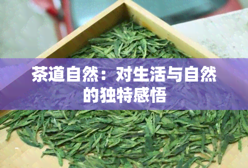 茶道自然：对生活与自然的独特感悟