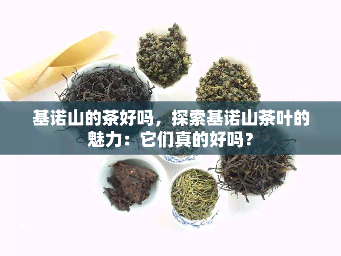 基诺山的茶好吗，探索基诺山茶叶的魅力：它们真的好吗？