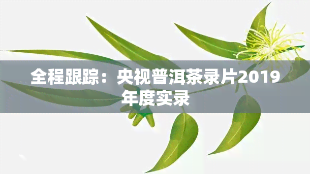 全程跟踪：央视普洱茶录片2019年度实录