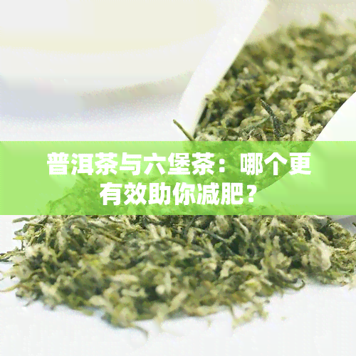 普洱茶与六堡茶：哪个更有效助你减肥？