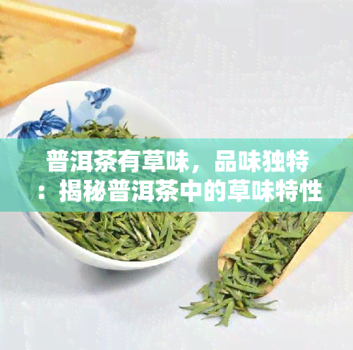 普洱茶有草味，品味独特：揭秘普洱茶中的草味特性