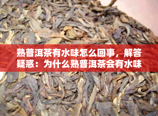 熟普洱茶有水味怎么回事，解答疑惑：为什么熟普洱茶会有水味？