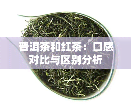 普洱茶和红茶：口感对比与区别分析