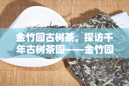 金竹园古树茶，探访千年古树茶园——金竹园，品味历与自然的交融