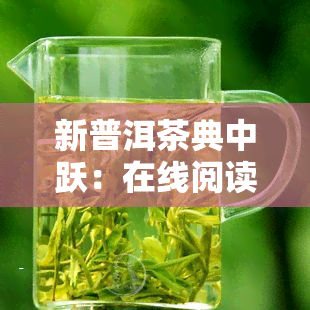 新普洱茶典中跃：在线阅读与介绍