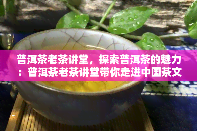 普洱茶老茶讲堂，探索普洱茶的魅力：普洱茶老茶讲堂带你走进中国茶文化的世界